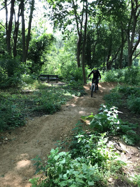 beck wood cycle path 3